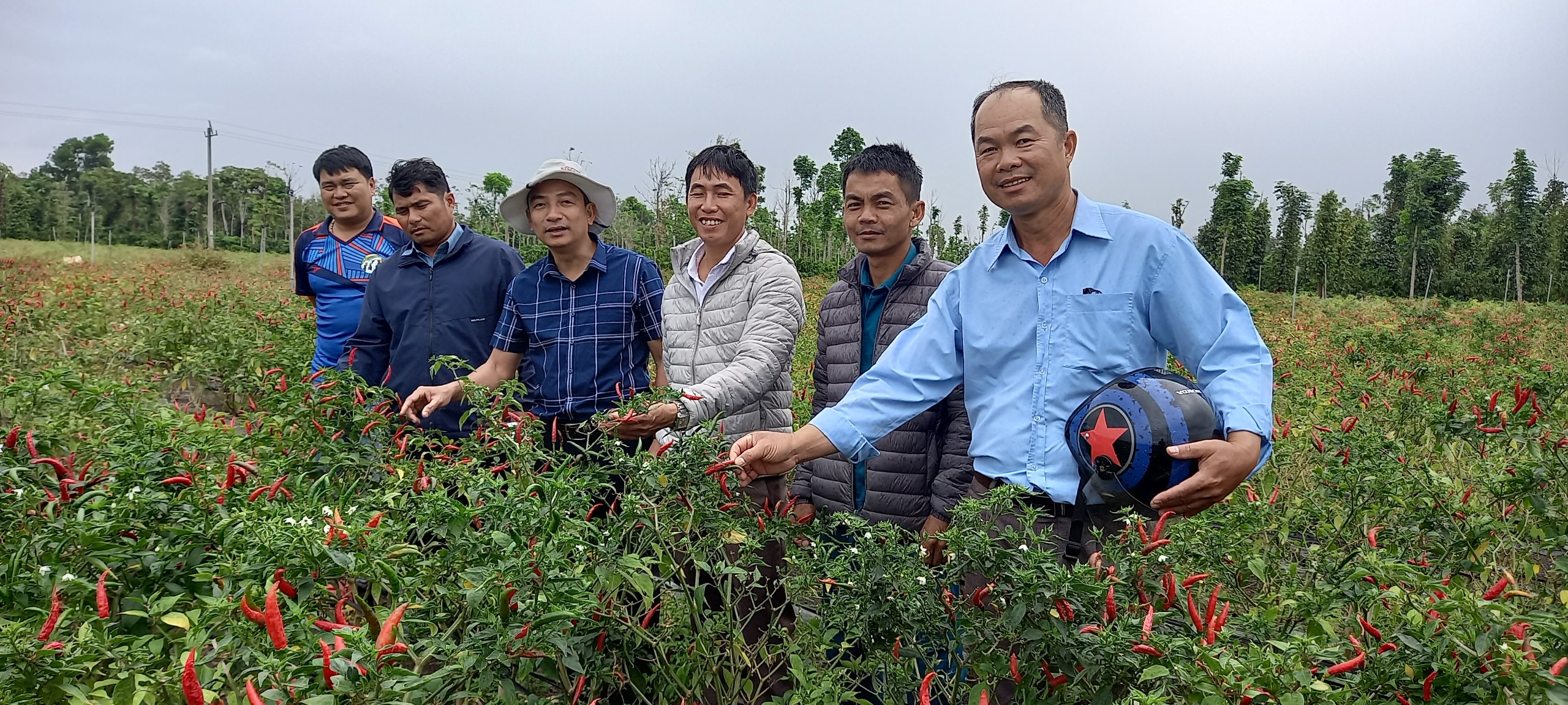 Bí thư, Chủ tịch UBND cùng các đoàn thể đi khảo sát cánh đồng 17ha, mô hình trồng trọt, phát triển kinh tế trên địa bàn xã năm 2024